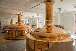 brewery fermentation brewery fermentation